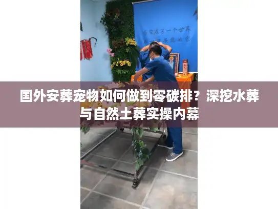 国外安葬宠物如何做到零碳排？深挖水葬与自然土葬实操内幕