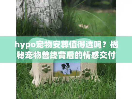 hypo宠物安葬值得选吗？揭秘宠物善终背后的情感交付