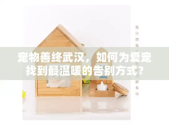 宠物善终武汉，如何为爱宠找到最温暖的告别方式？