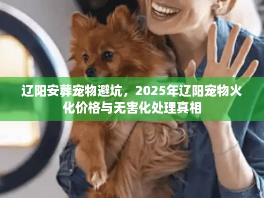 辽阳安葬宠物避坑，2025年辽阳宠物火化价格与无害化处理真相