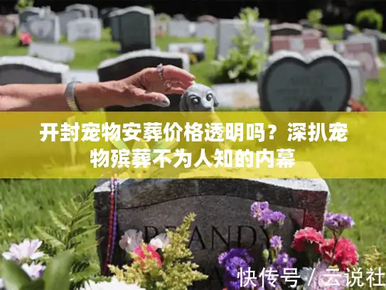开封宠物安葬价格透明吗？深扒宠物殡葬不为人知的内幕