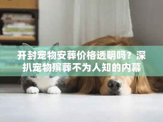 开封宠物安葬价格透明吗？深扒宠物殡葬不为人知的内幕