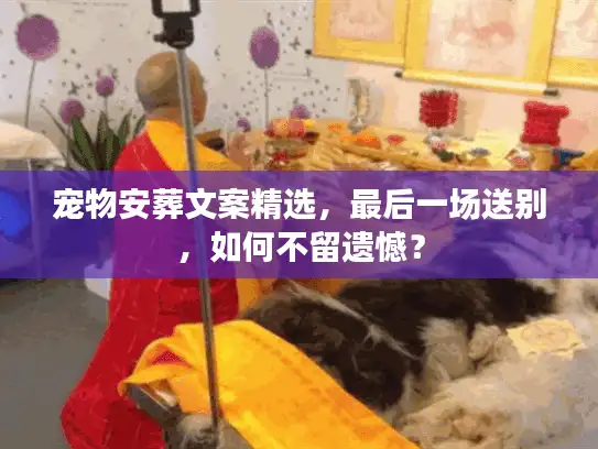 宠物安葬文案精选，最后一场送别，如何不留遗憾？