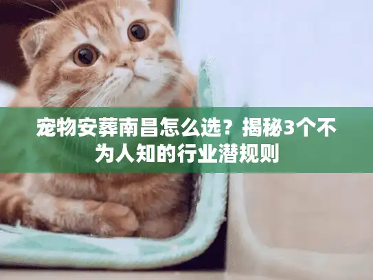 宠物安葬南昌怎么选？揭秘3个不为人知的行业潜规则