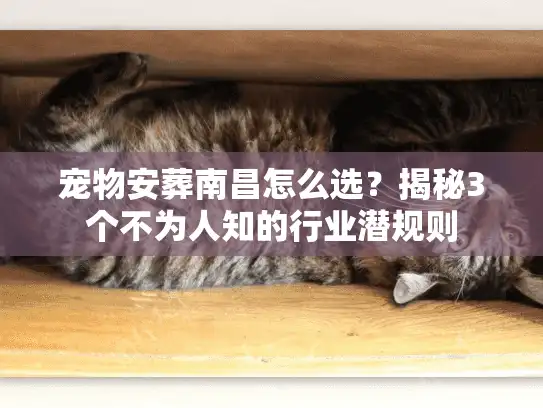 宠物安葬南昌怎么选？揭秘3个不为人知的行业潜规则