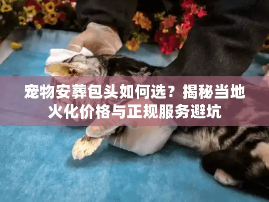 宠物安葬包头如何选？揭秘当地火化价格与正规服务避坑