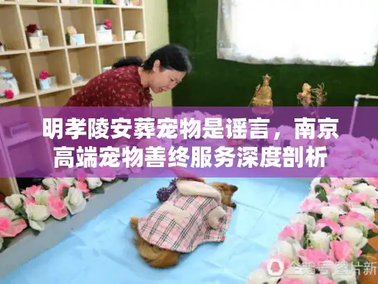 明孝陵安葬宠物是谣言，南京高端宠物善终服务深度剖析