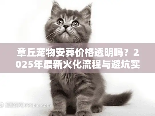 章丘宠物安葬价格透明吗？2025年最新火化流程与避坑实录