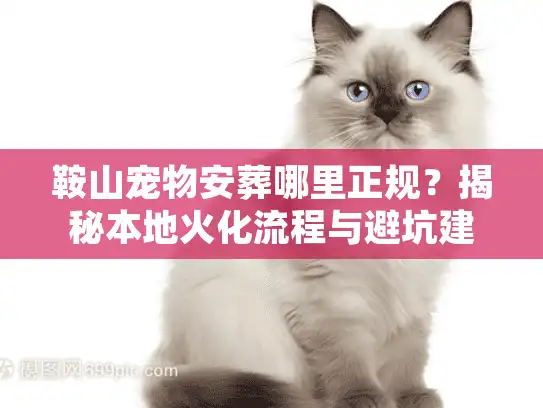 鞍山宠物安葬哪里正规？揭秘本地火化流程与避坑建议