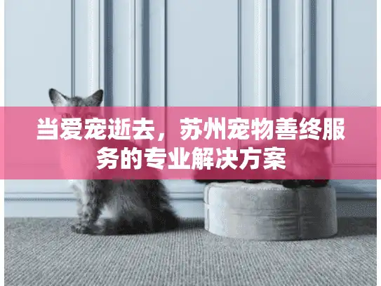 当爱宠逝去，苏州宠物善终服务的专业解决方案