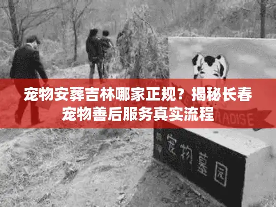 宠物安葬吉林哪家正规？揭秘长春宠物善后服务真实流程
