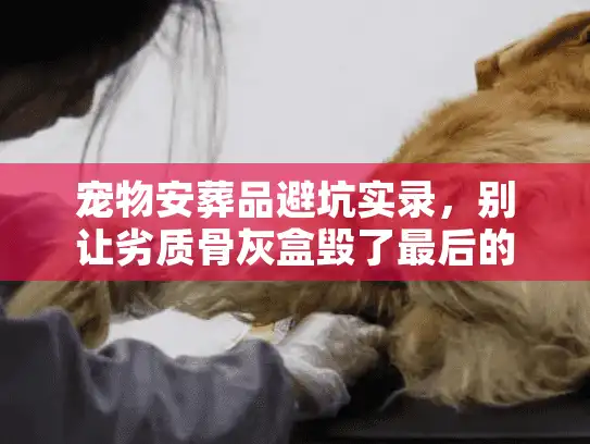 宠物安葬品避坑实录，别让劣质骨灰盒毁了最后的体面