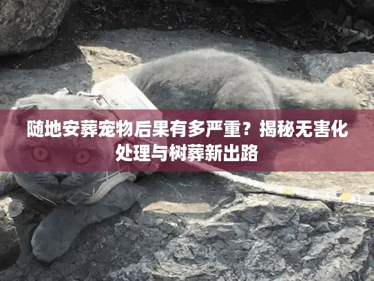 随地安葬宠物后果有多严重？揭秘无害化处理与树葬新出路
