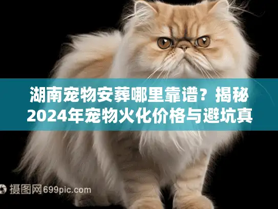 湖南宠物安葬哪里靠谱？揭秘2024年宠物火化价格与避坑真相