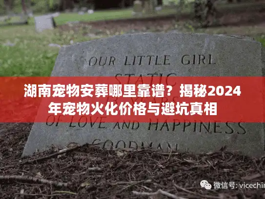 湖南宠物安葬哪里靠谱？揭秘2024年宠物火化价格与避坑真相