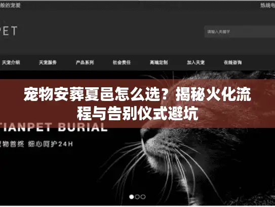 宠物安葬夏邑怎么选？揭秘火化流程与告别仪式避坑
