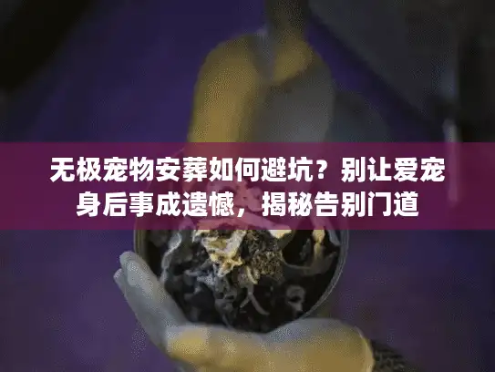 无极宠物安葬如何避坑？别让爱宠身后事成遗憾，揭秘告别门道