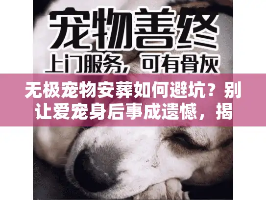 无极宠物安葬如何避坑？别让爱宠身后事成遗憾，揭秘告别门道
