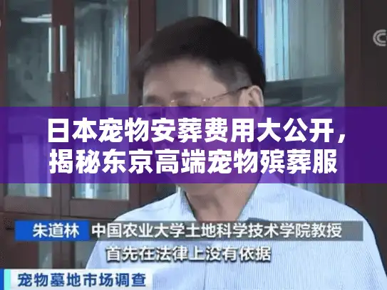 日本宠物安葬费用大公开，揭秘东京高端宠物殡葬服务真实内幕