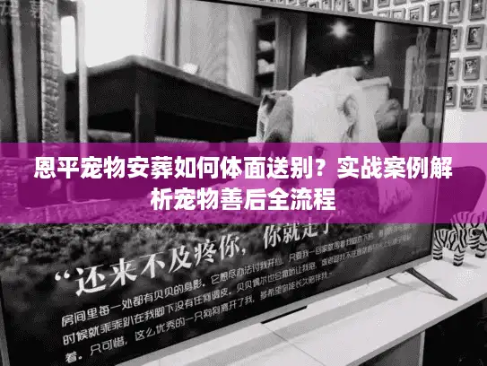 恩平宠物安葬如何体面送别？实战案例解析宠物善后全流程
