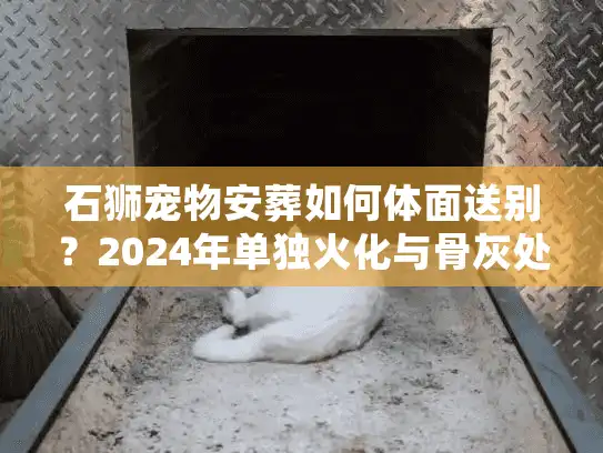 石狮宠物安葬如何体面送别？2024年单独火化与骨灰处理门道