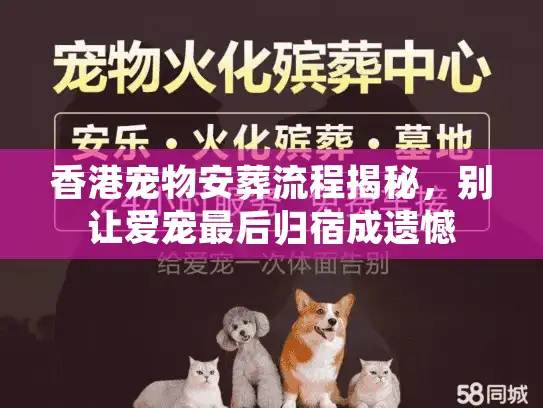 香港宠物安葬流程揭秘，别让爱宠最后归宿成遗憾