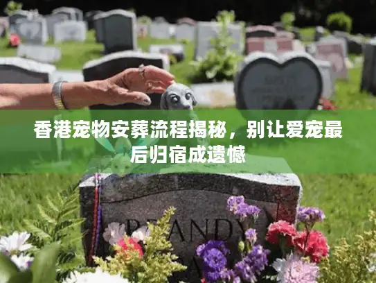 香港宠物安葬流程揭秘，别让爱宠最后归宿成遗憾