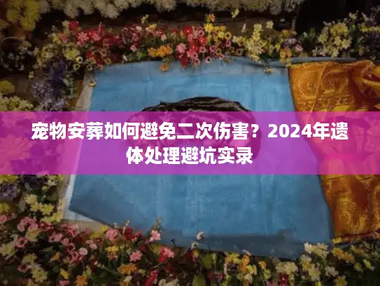 宠物安葬如何避免二次伤害？2024年遗体处理避坑实录