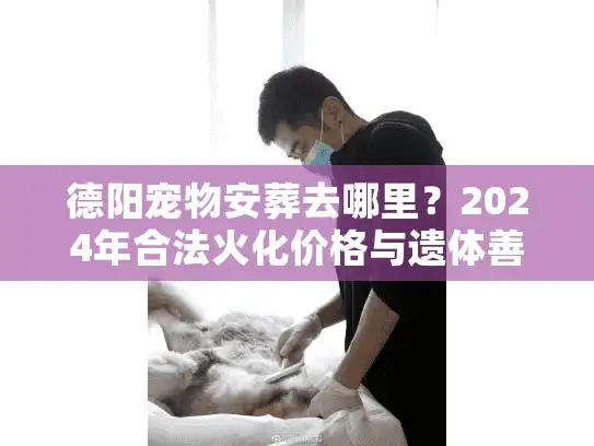德阳宠物安葬去哪里？2024年合法火化价格与遗体善后避坑