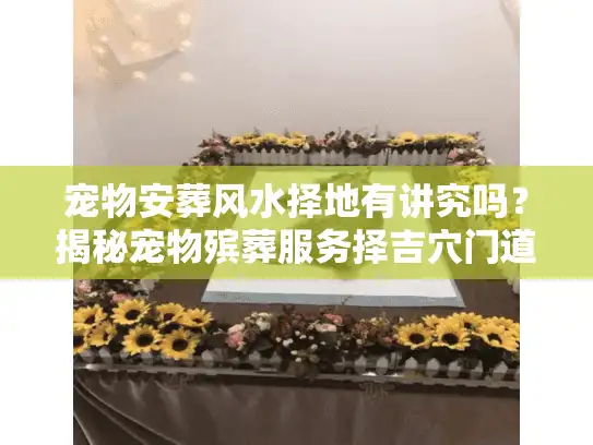 宠物安葬风水择地有讲究吗？揭秘宠物殡葬服务择吉穴门道