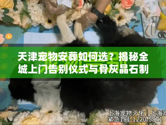 天津宠物安葬如何选？揭秘全城上门告别仪式与骨灰晶石制作