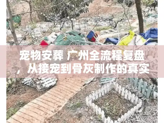 宠物安葬 广州全流程复盘，从接宠到骨灰制作的真实记录