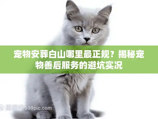 宠物安葬白山哪里最正规？揭秘宠物善后服务的避坑实况
