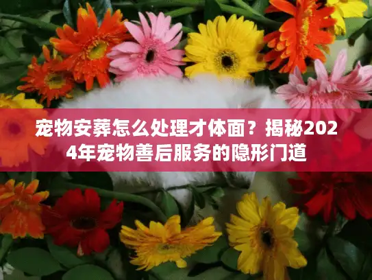 宠物安葬怎么处理才体面？揭秘2024年宠物善后服务的隐形门道