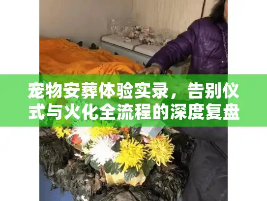 宠物安葬体验实录，告别仪式与火化全流程的深度复盘