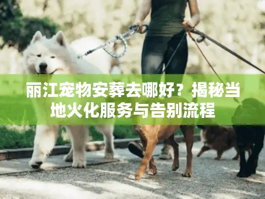丽江宠物安葬去哪好？揭秘当地火化服务与告别流程