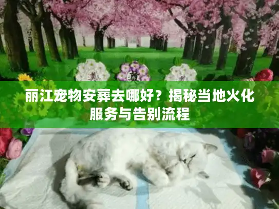 丽江宠物安葬去哪好？揭秘当地火化服务与告别流程