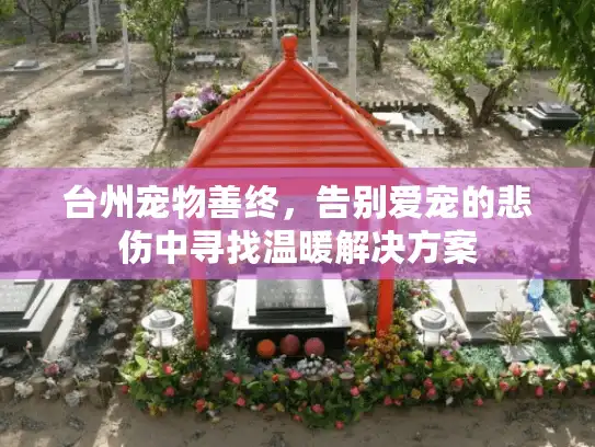 台州宠物善终，告别爱宠的悲伤中寻找温暖解决方案
