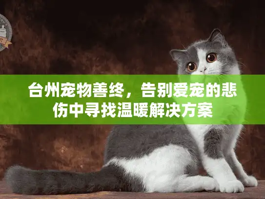 台州宠物善终，告别爱宠的悲伤中寻找温暖解决方案