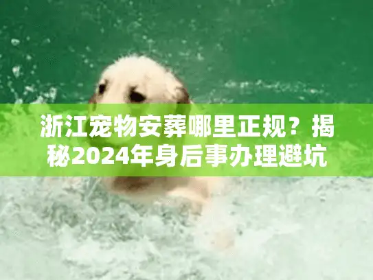 浙江宠物安葬哪里正规？揭秘2024年身后事办理避坑流程