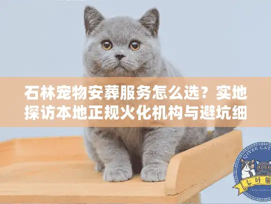 石林宠物安葬服务怎么选？实地探访本地正规火化机构与避坑细节