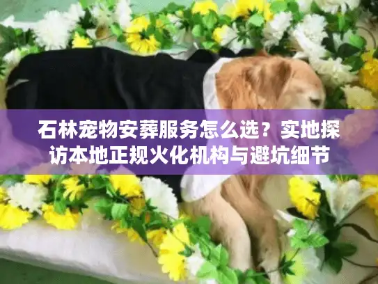 石林宠物安葬服务怎么选？实地探访本地正规火化机构与避坑细节