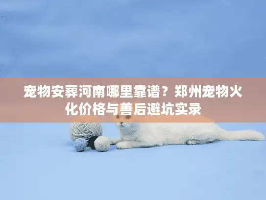 宠物安葬河南哪里靠谱？郑州宠物火化价格与善后避坑实录
