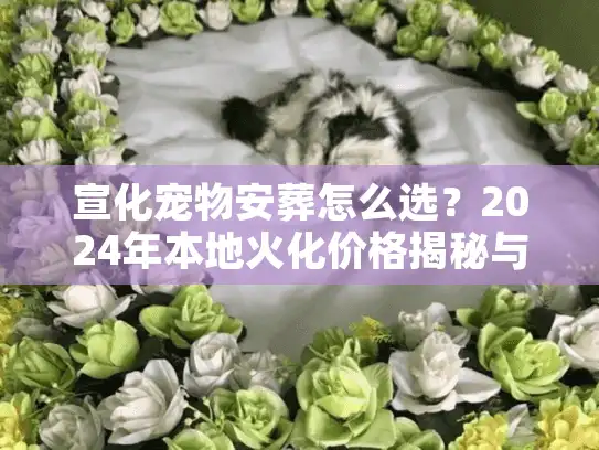 宣化宠物安葬怎么选？2024年本地火化价格揭秘与告别实录