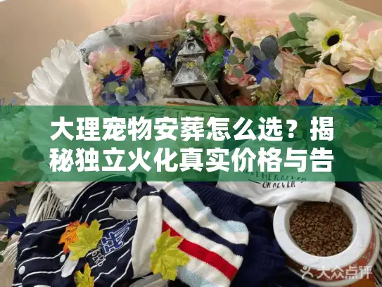 大理宠物安葬怎么选？揭秘独立火化真实价格与告别仪式