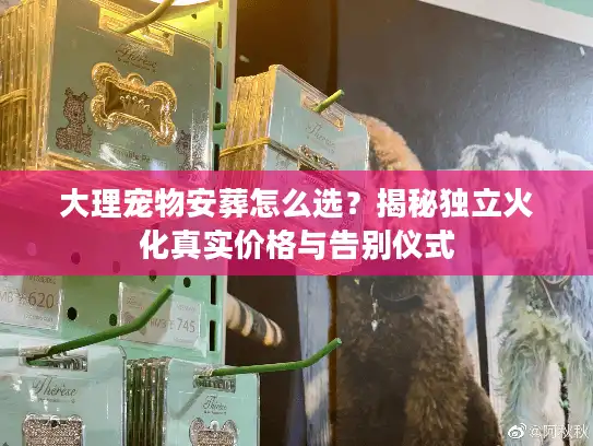 大理宠物安葬怎么选？揭秘独立火化真实价格与告别仪式