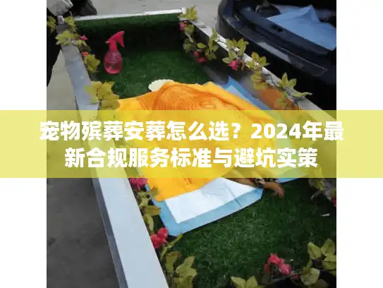 宠物殡葬安葬怎么选？2024年最新合规服务标准与避坑实策