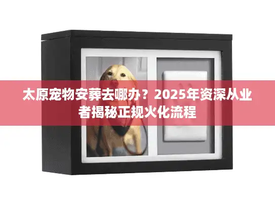 太原宠物安葬去哪办？2025年资深从业者揭秘正规火化流程