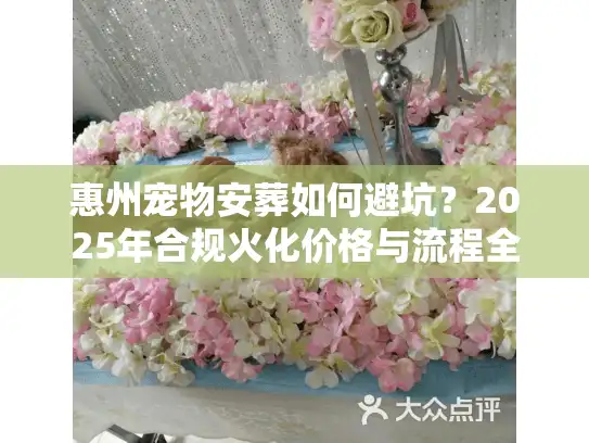 惠州宠物安葬如何避坑？2025年合规火化价格与流程全解