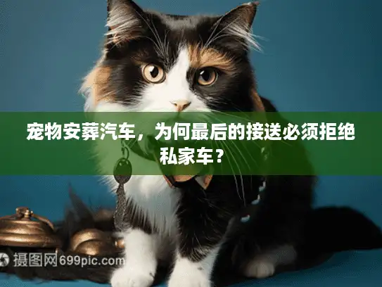 宠物安葬汽车，为何最后的接送必须拒绝私家车？